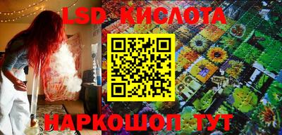 прущие крисы Аргун