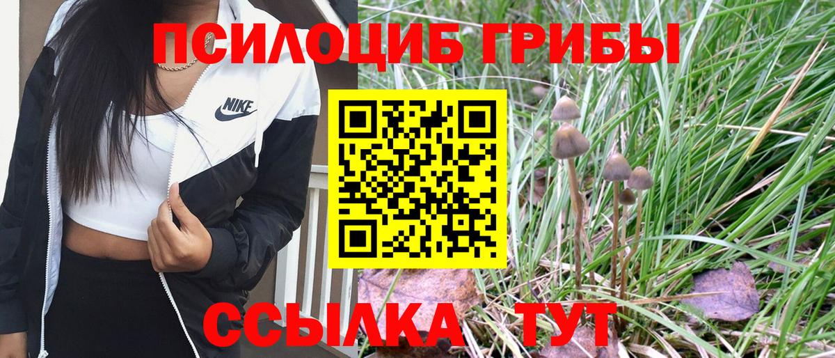 Галлюциногенные грибы Magic Shrooms Владивосток