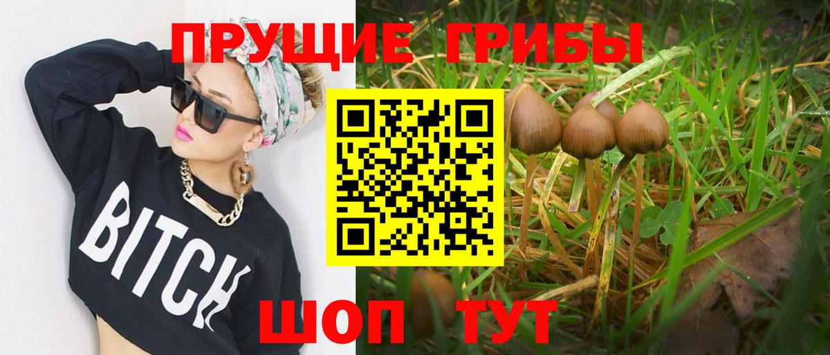 Галлюциногенные грибы GOLDEN TEACHER  Вход с VPN  Владивосток 